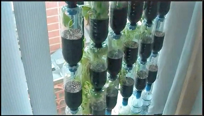 Hydroponic Gardening is the new window garden method