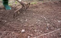 Prepare your soil